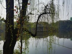 -棠湖公园