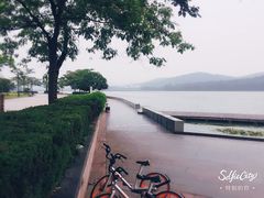 -水上明月·湖景餐厅
