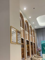 -深圳美莱医疗美容医院