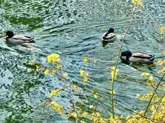 -安定门(地铁站)