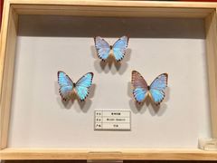 -四川宋瓷博物馆