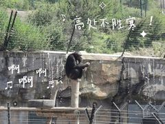 -大连森林动物园