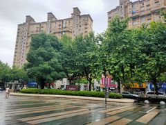 -盒马鲜生(杨高南路店)
