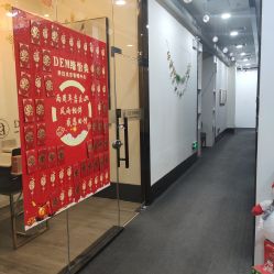 -DEM缔怡美科技美容