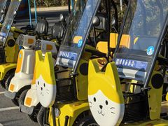 -合肥滨湖国家森林公园