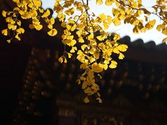 -汇龙潭