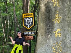 -南岳衡山风景名胜区