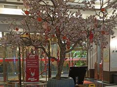 -东方之珠洗浴休闲广场(南开店)