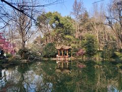 -杭州植物园