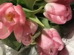 -红辣椒·川菜·火锅(大洋中心店)