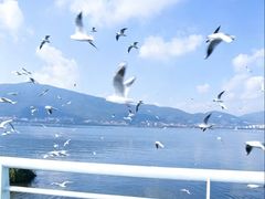 -大理洱海