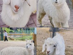 -水上乐园·欢乐世界