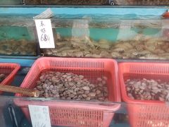 水产区-新享乐海鲜(翠华路店)