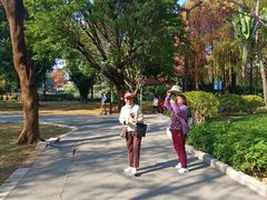 -晓港公园