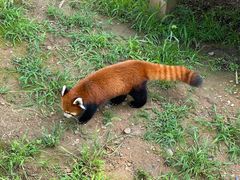 -石家庄市动物园