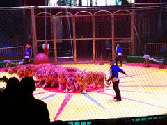 -西安秦岭野生动物园