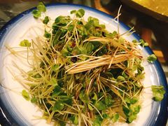 凉爽荞麦苗-兴农记