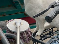 -贝康宠物医院·犬猫全科·小动物特色诊疗中心(东环路店)