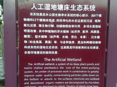 -成都市活水公园