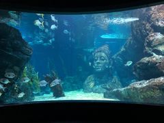 -暹罗海洋世界
