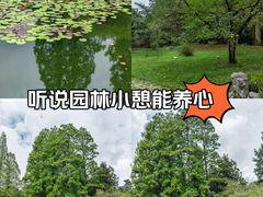 -杭州植物园