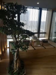 -涂tu指甲日式美甲美睫店