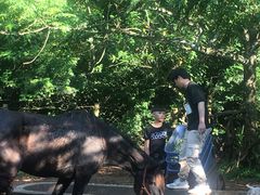 -海南热带野生动植物园