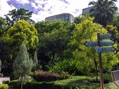 -九龙公园