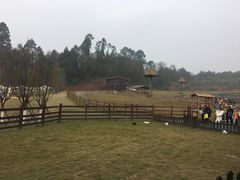 -黄龙溪欢乐田园