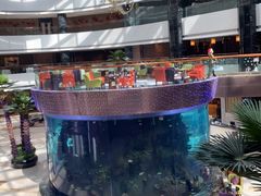 -OPEN開全日自助餐厅·牛肉火锅·海鲜(佛山希尔顿酒店)