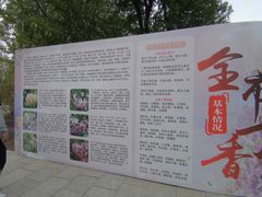 -群力丁香公园