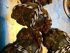 阳澄湖大闸蟹-丫丫蟹庄·苏式园林农家乐·阳澄湖大闸蟹(阳澄湖莲花岛店)