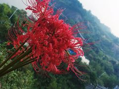 -玻璃桥景区石牛寨