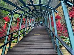 -京东石林峡风景区