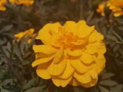 -长春公园(普阳街道)