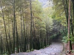 -午潮山国家森林公园