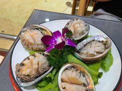 鲜活小鲍鱼-金龙·打边炉(武进路店)