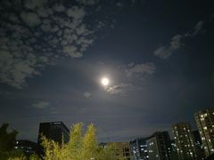 -鲤鱼塘农家山庄