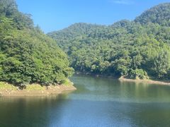 -燕子河大峡谷天坑仙境