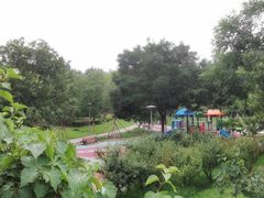 -大兴滨河森林公园