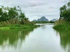 -会仙湿地
