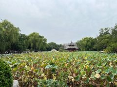 -莲池书院博物馆