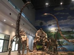-自贡恐龙博物馆