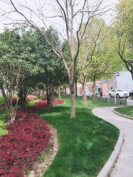 -复旦大学附属妇产科医院(杨浦院区)