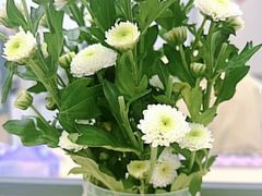 -丘大叔柠檬茶(沙河广场分店)