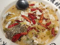 -宋小谨(惠安禹洲店)