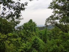 -陕西师范大学(雁塔校区)