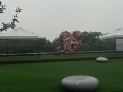 -北京云瑧金陵莲花酒店·莲·川小馆