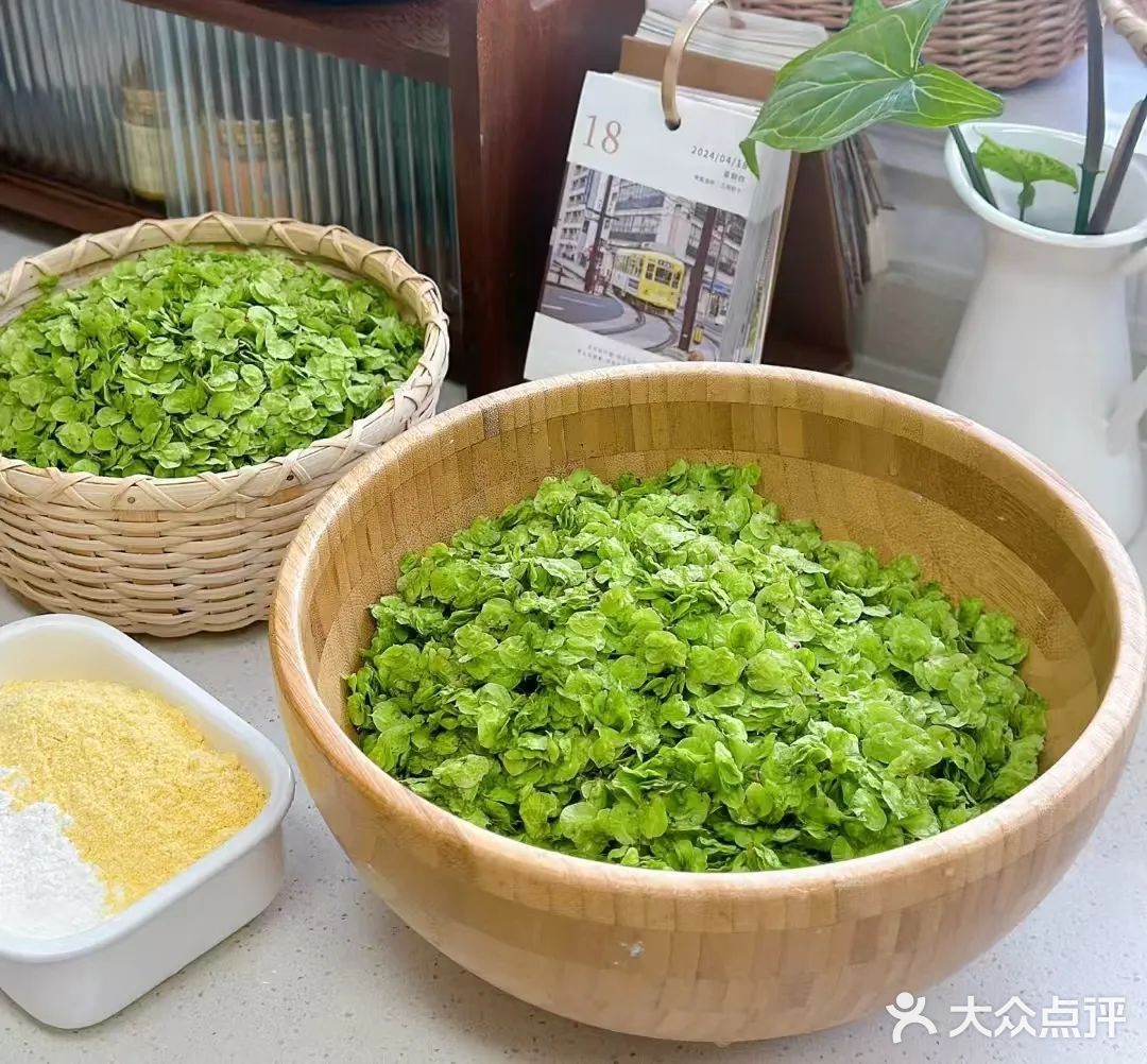 春日食榆钱 健脾安神