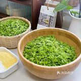 春日食榆钱 健脾安神
